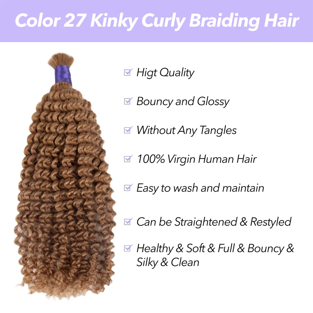 Color 27 Kinky Curly Braiding Hair